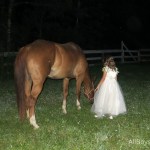 Clara and horse