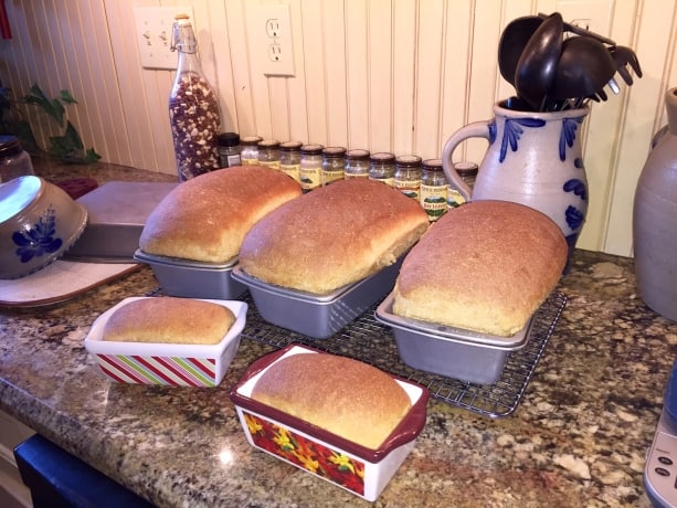 beautiful bread loaves 
